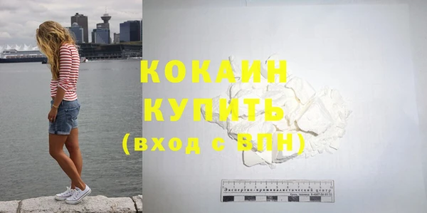 шишки Лиски