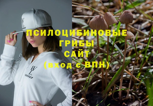 шишки Лиски