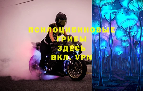 2c-b Липки