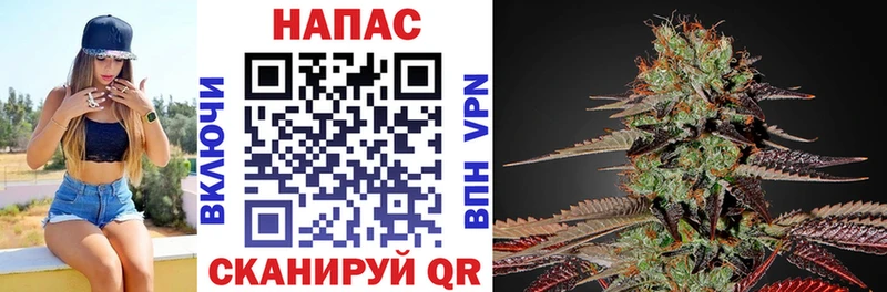 Каннабис план Тогучин